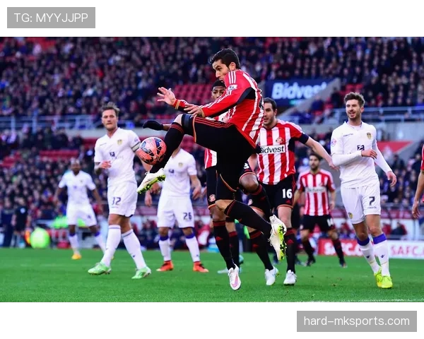 桑德兰新赛季展望:阵容调整与升级竞争力分析 桑德兰新赛季展望:阵容调整与升级竞争力分析