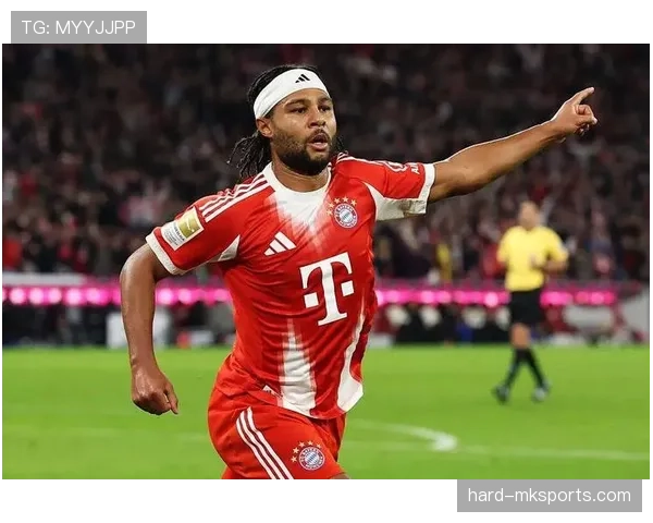 格纳布里进攻体系适配 格纳布里进攻体系适配